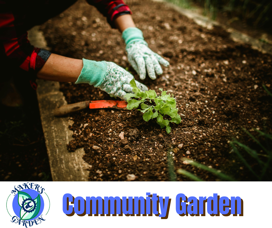 Community Garden
